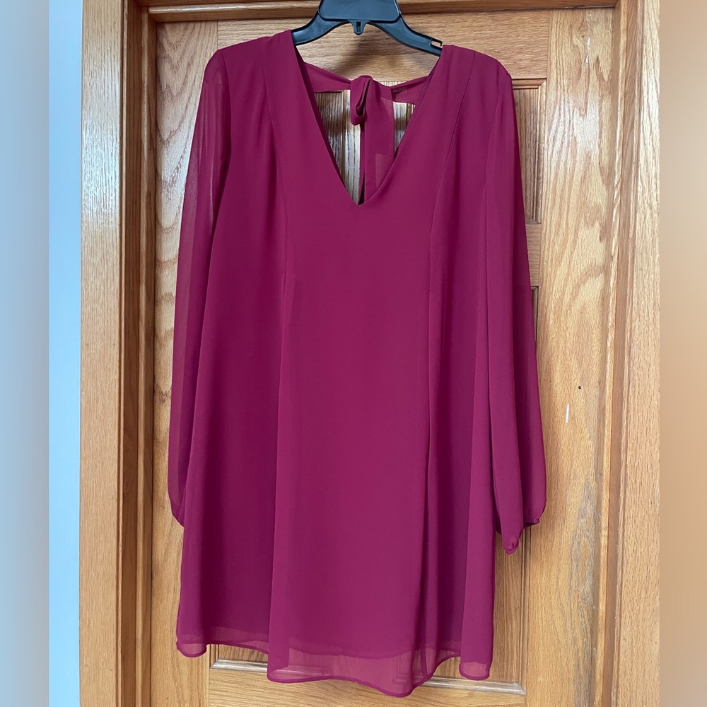 BCBG dress with sheer sleeves and ribbon tie back.